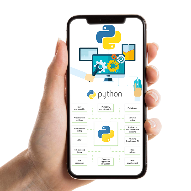 Python Development Service