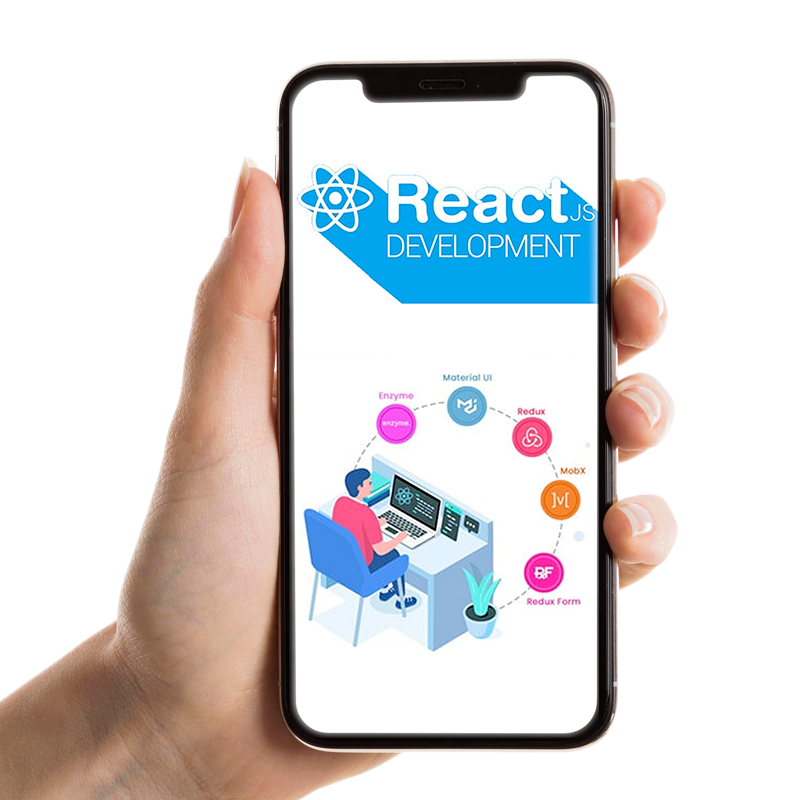 ReactJS Development ReactJS Development Service